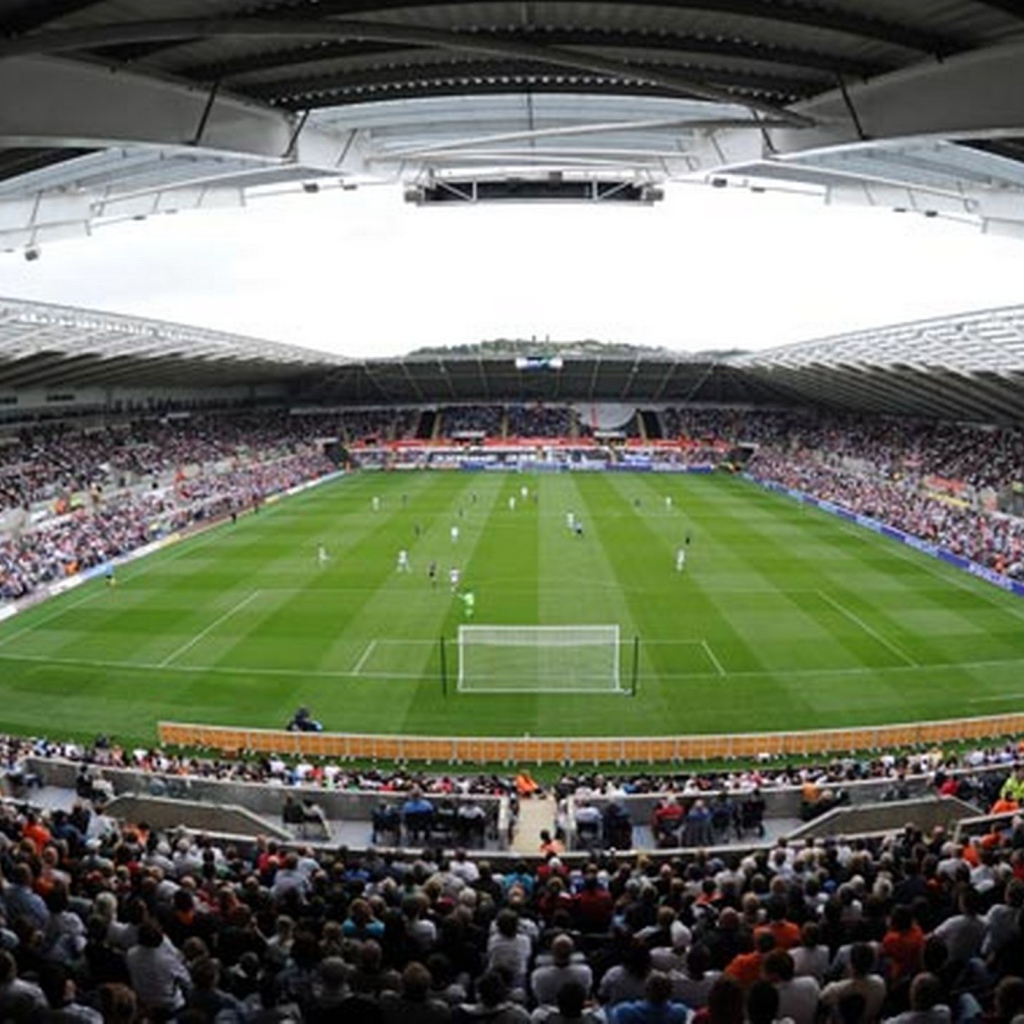 Возлюбленный Футбольный клуб Англии Суонси Сити