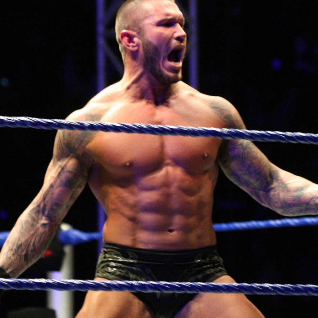 Боксер на арене