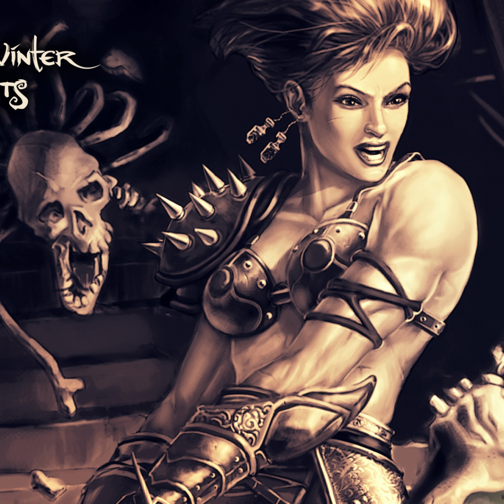 Бой в игре Neverwinter