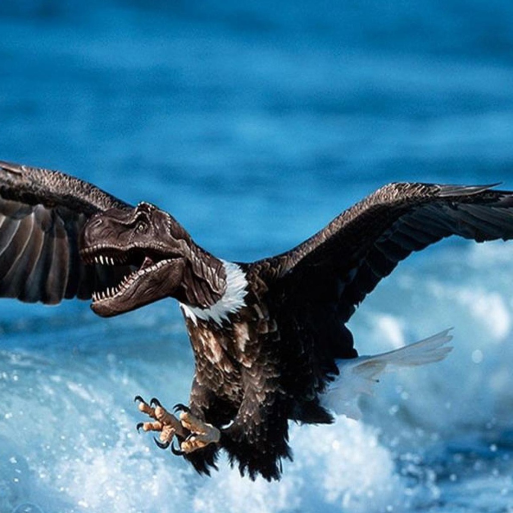 Дино орел в небе