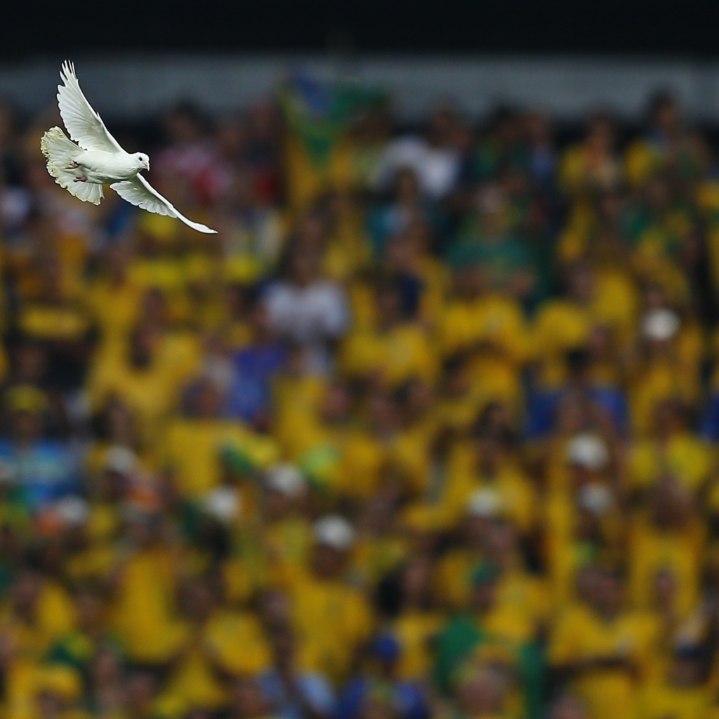 Голубь на стадионе на Чемпионате мира по футболу в Бразилии 2014