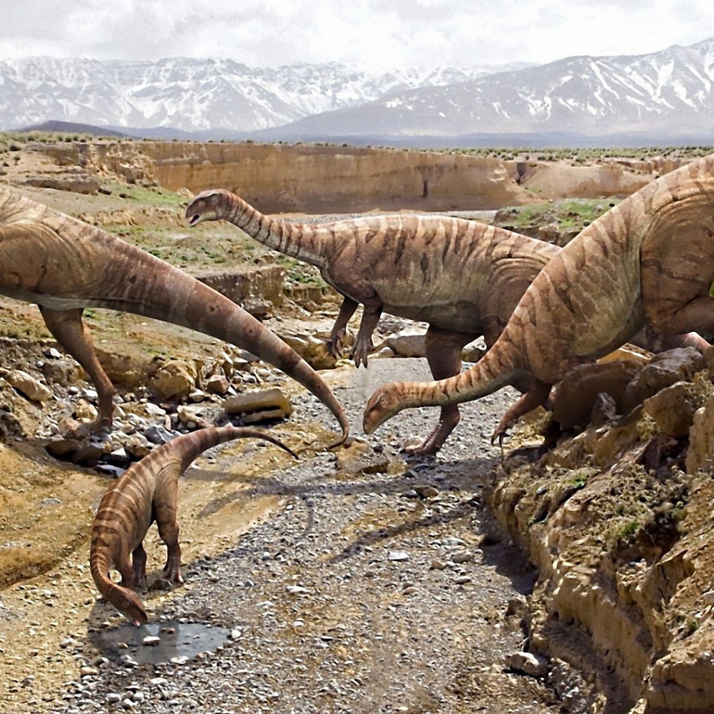 Семья динозавров кочует