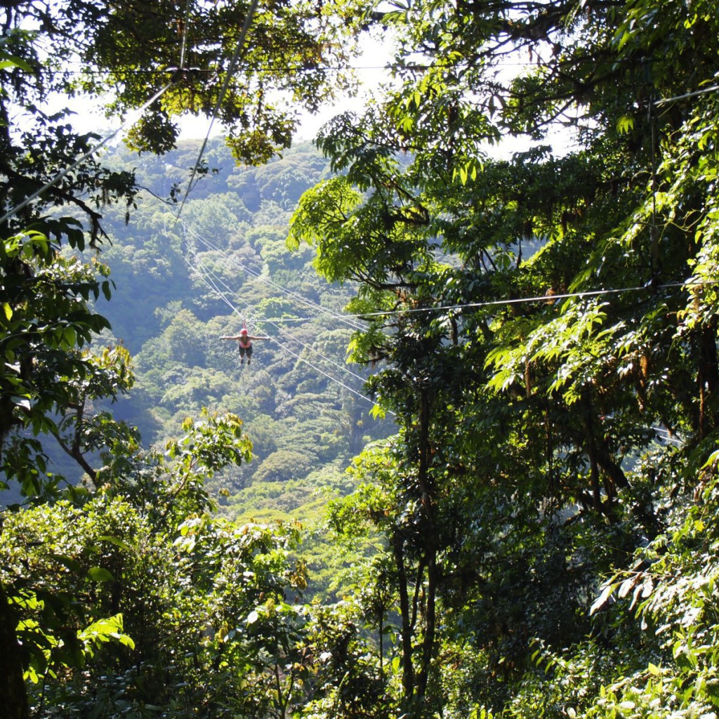 Веселье в Коста-Рика