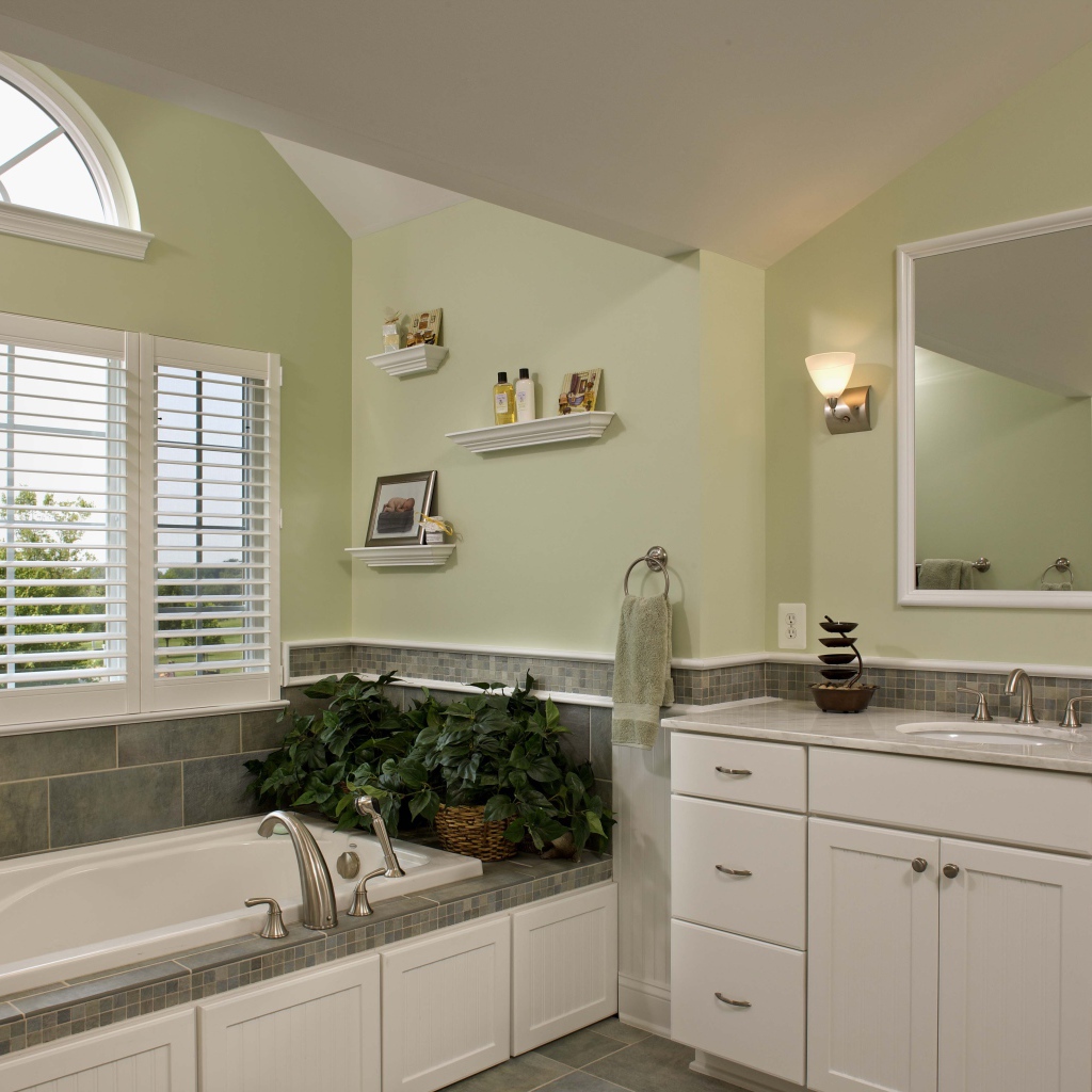 Зеленые растения в ванной комнате