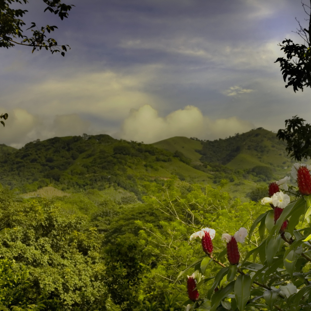 Пейзаж на Коста-Рика