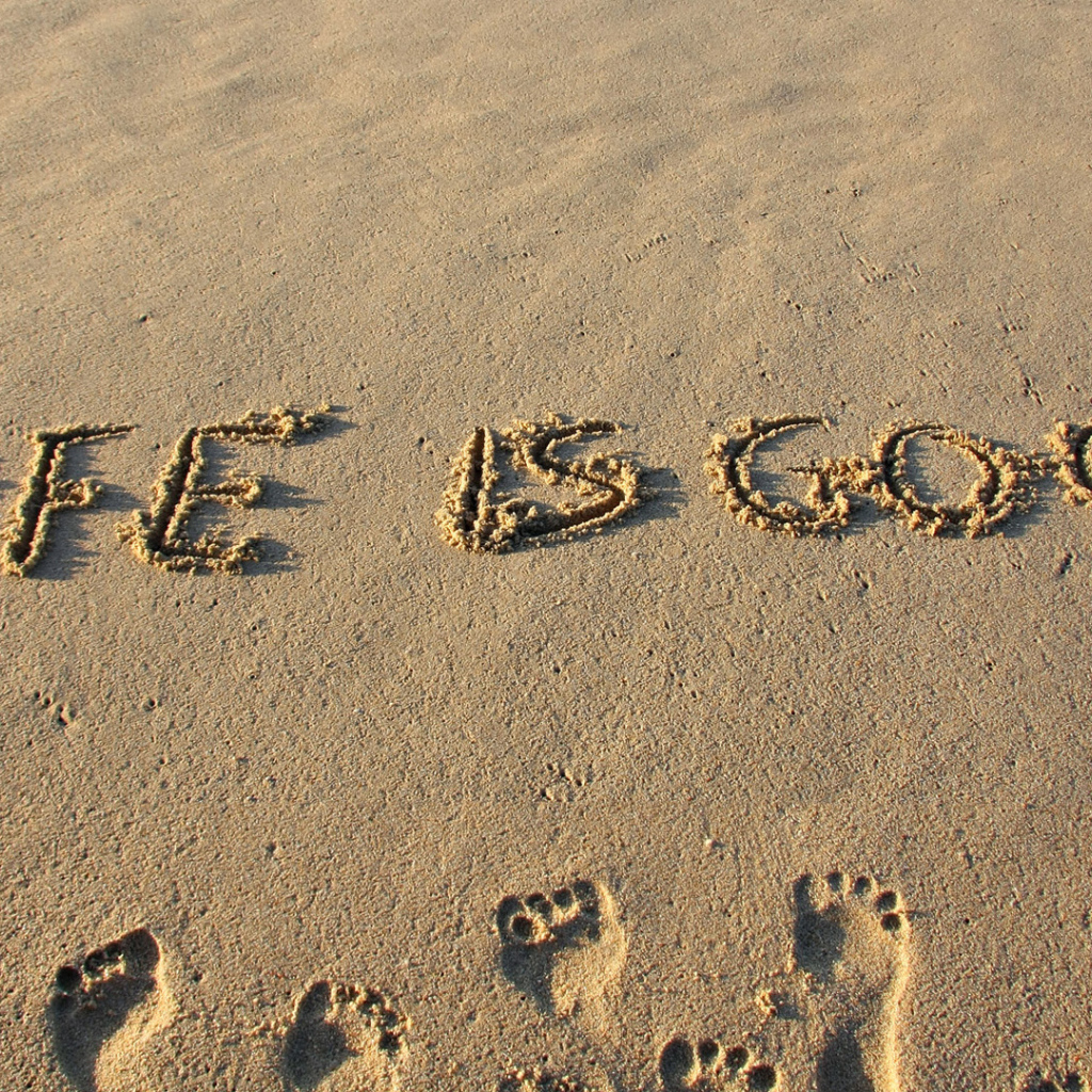 Жизнь хорошая штука