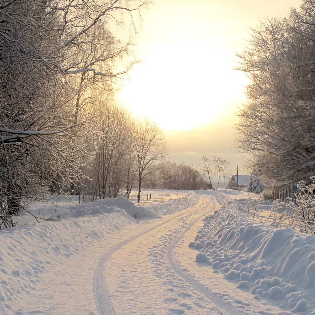 Утро за городом в Киеве