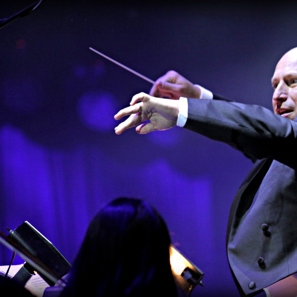 Композитор музыки в игре Fantasia music