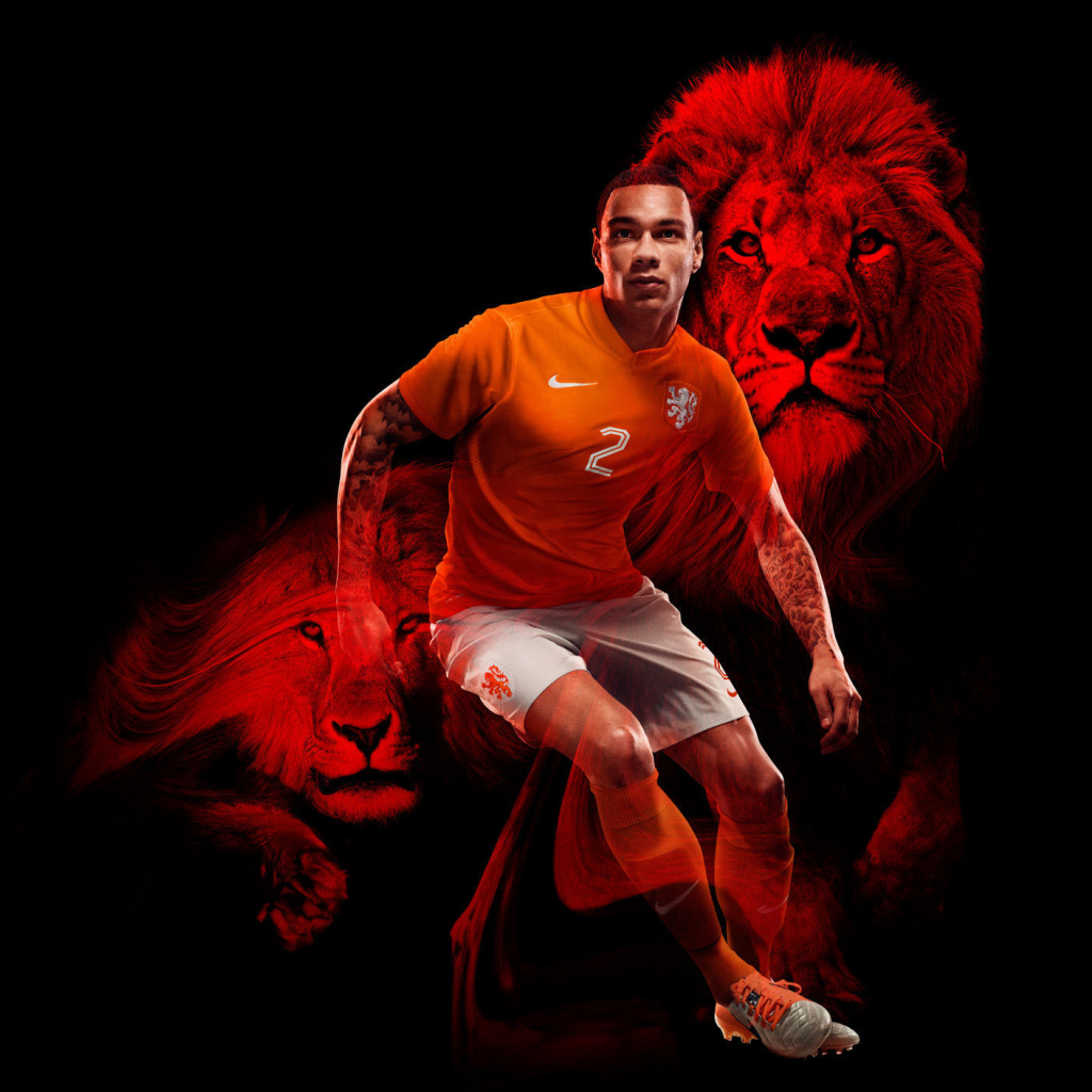 Netherlands national team player on the World Cup in Brazil 2014
