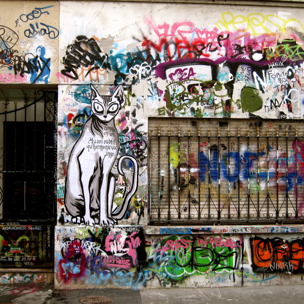 Нарисованный кот