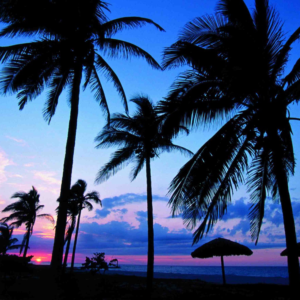 Пальмы на фоне заката на курорте Гуардалавака, Куба
