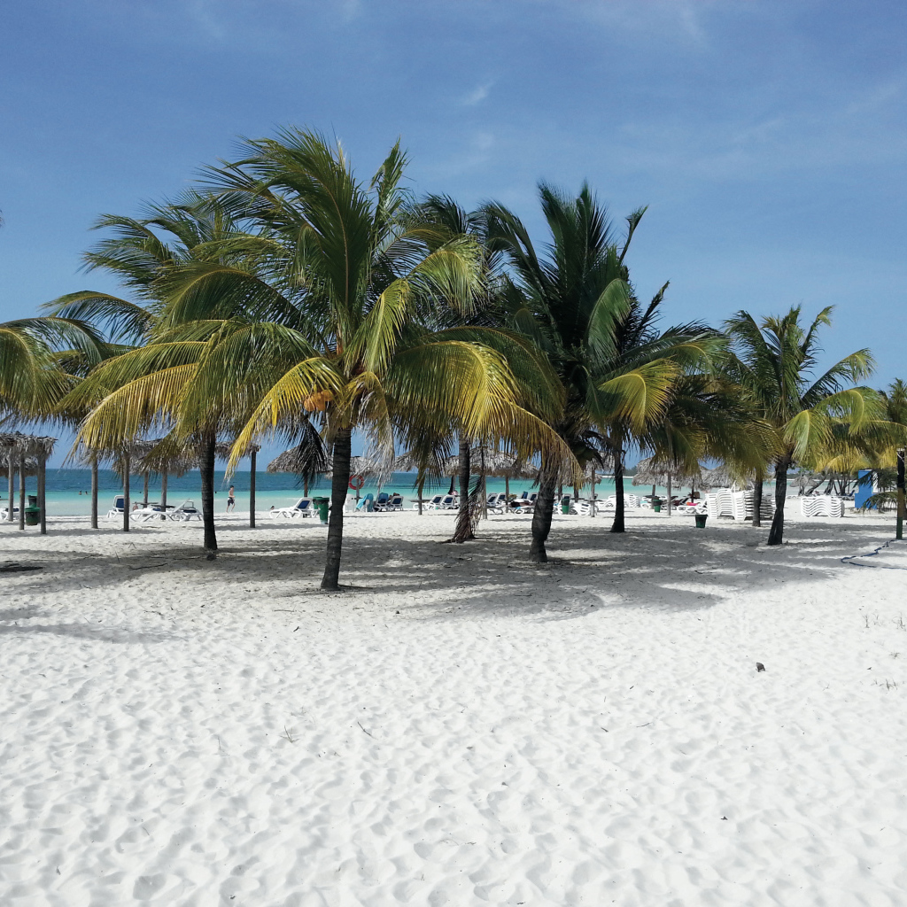 Пальмы на пляже на курорте Кайо Коко, Куба