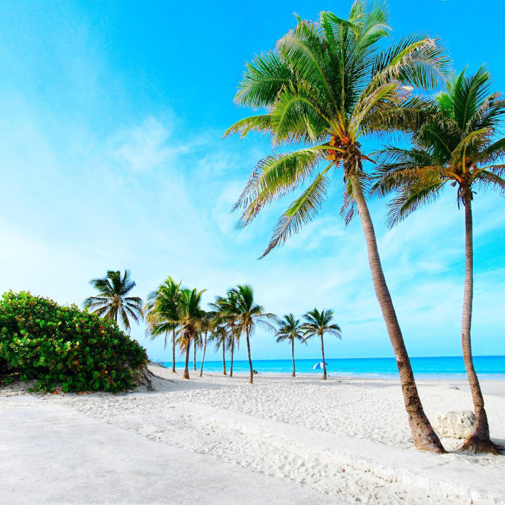 Пальмы на пляже на курорте Кайо Энсеначос, Куба