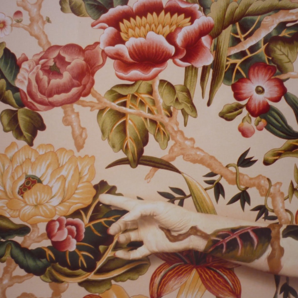 Фотография красивая картина