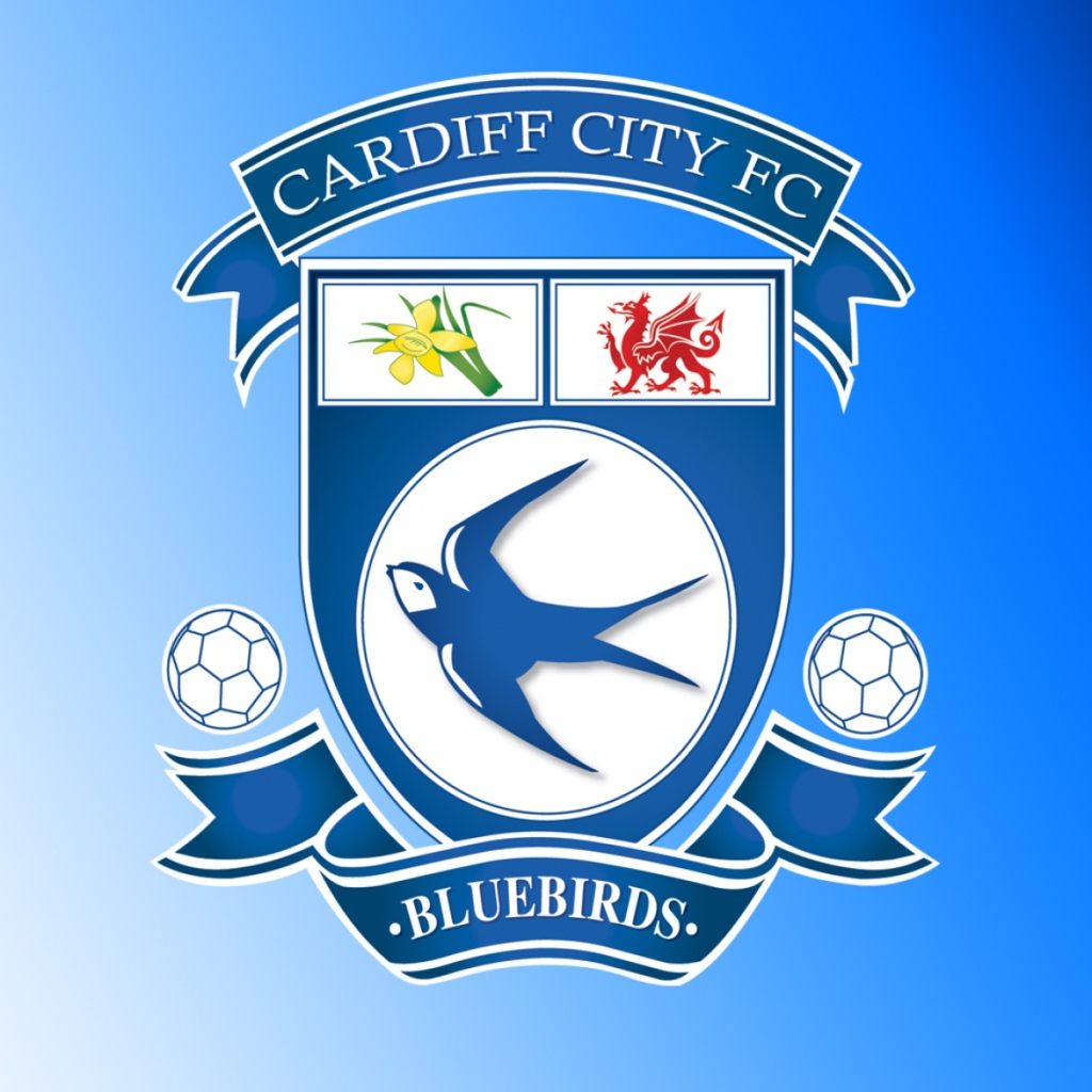 Популярный Футбольный клуб Кардифф Сити