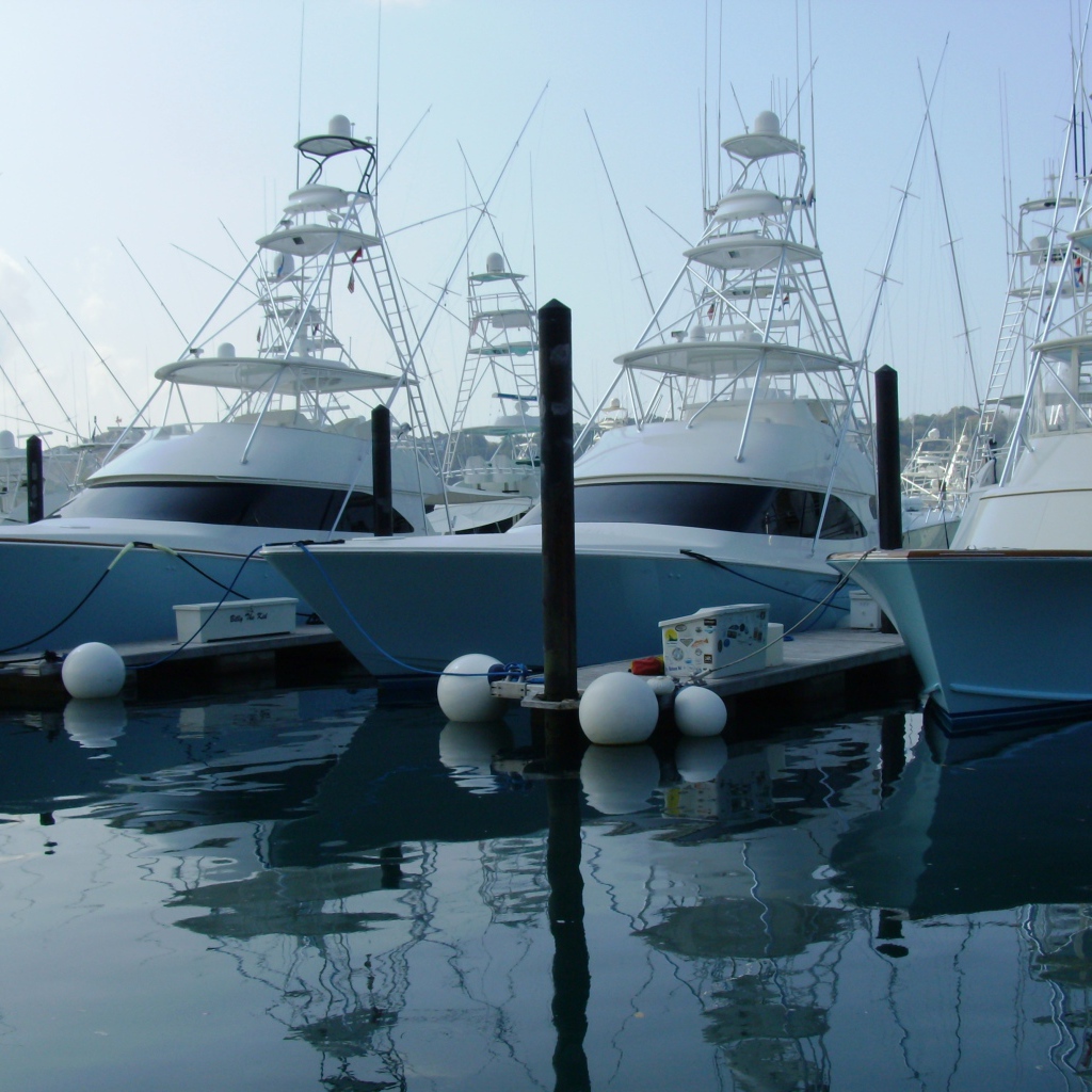 Порт Коста-Рика