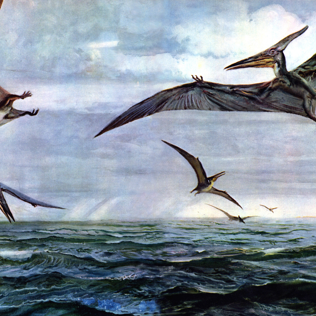 Птеродактили над океаном