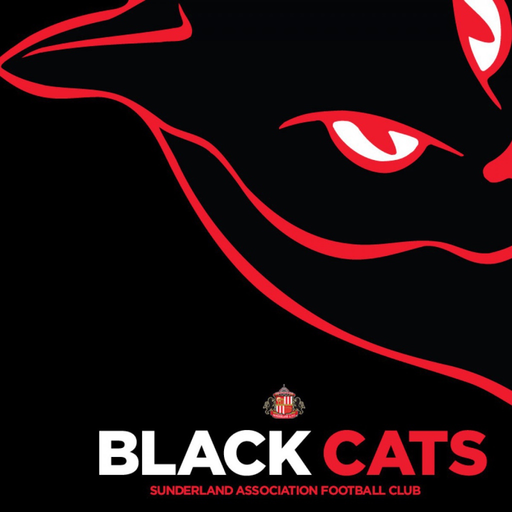 Любимая команда футбола Англии Сандерленд