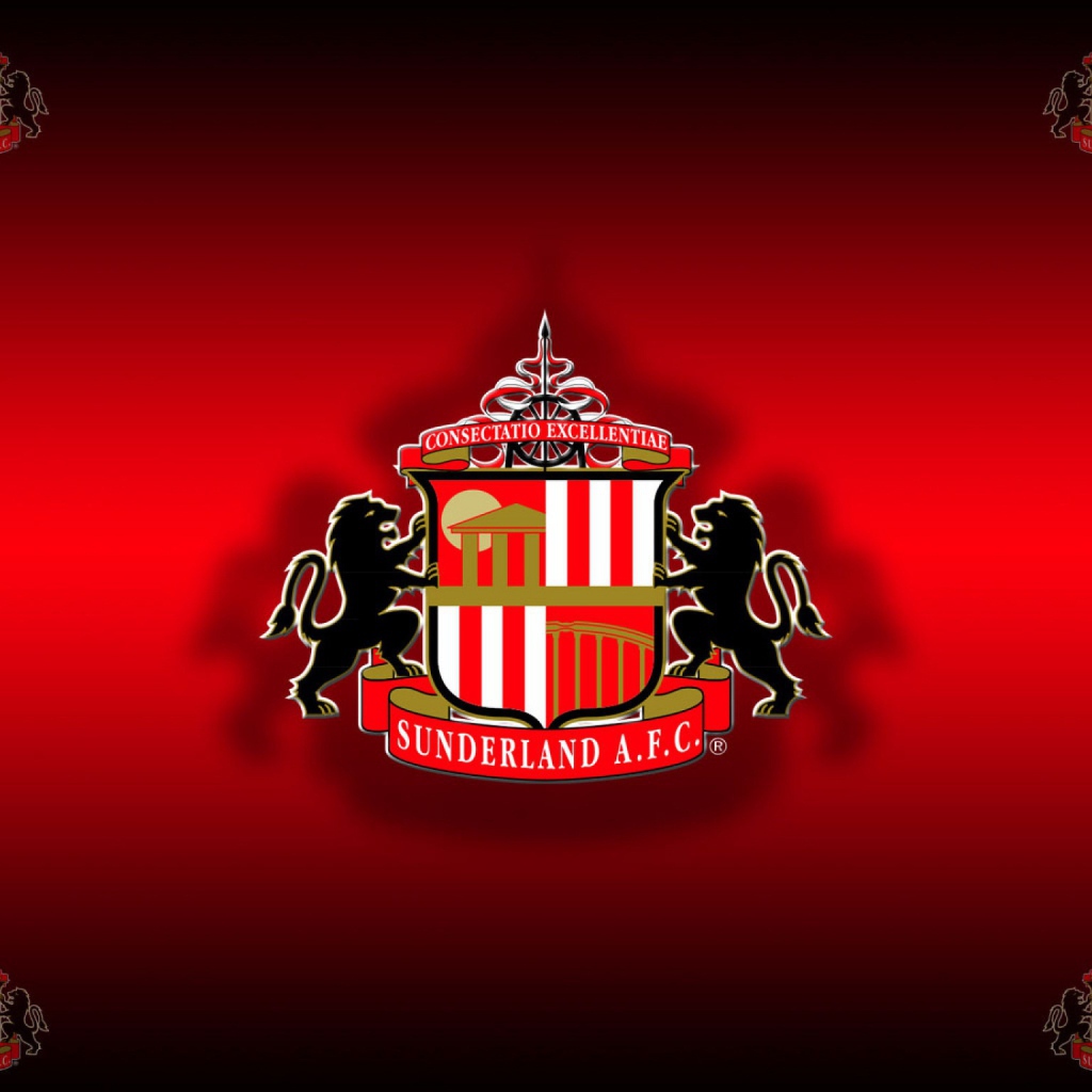 Знаменитая футбольная команда Англии Сандерленд