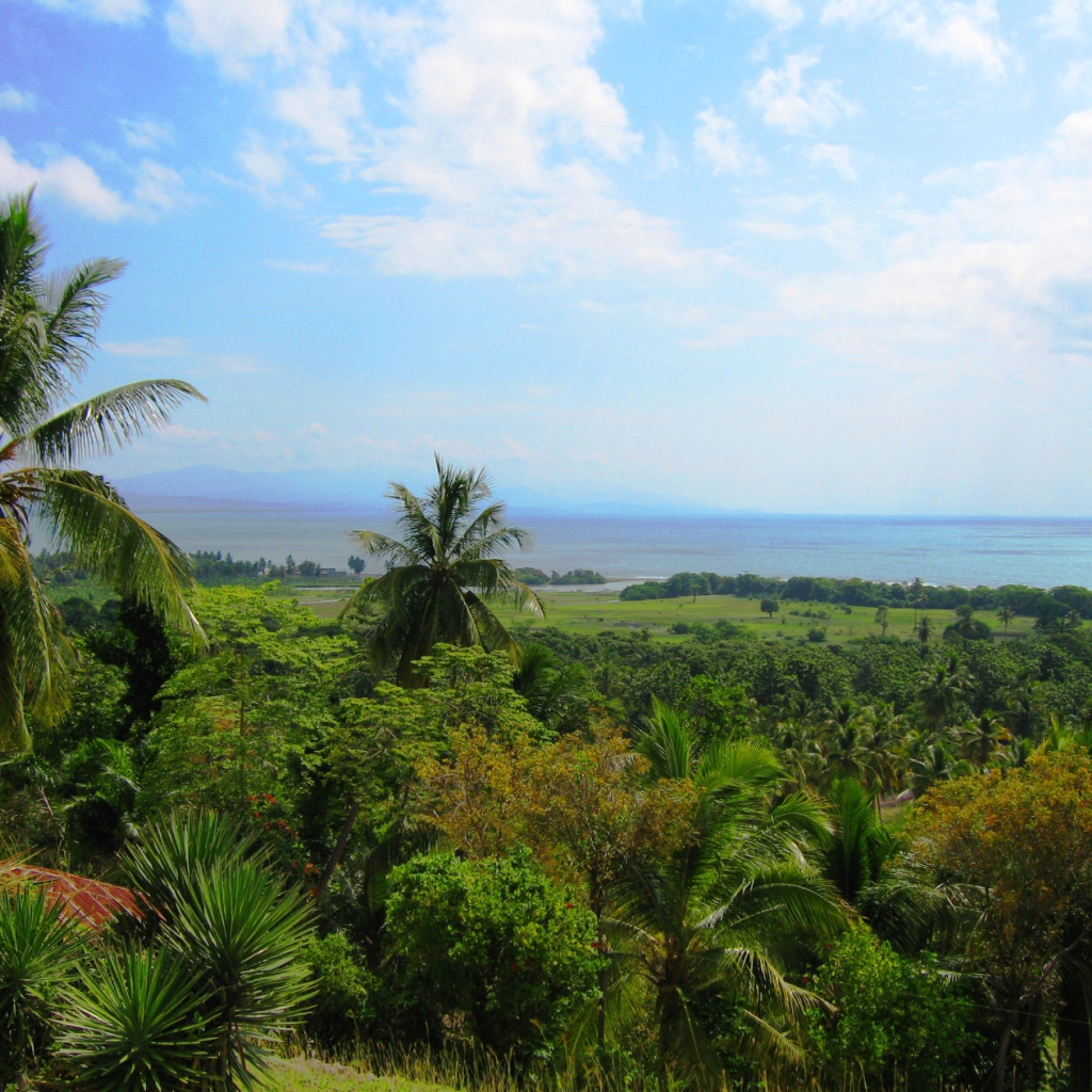 Тропический лес в Гаити