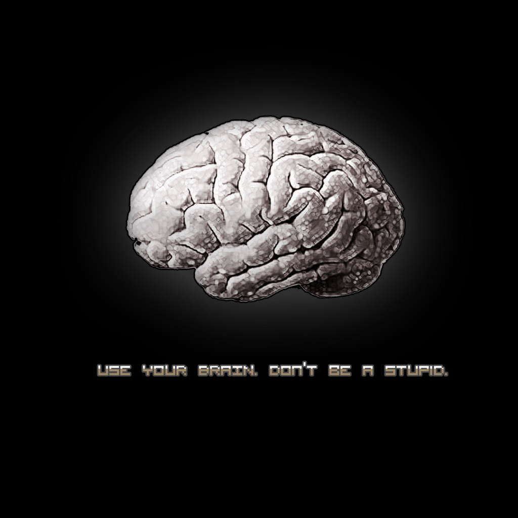 Используй свой мозг