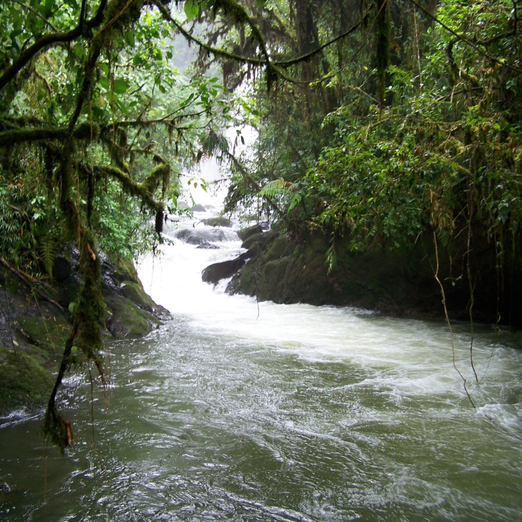 Водопад и река в Коста-Рика