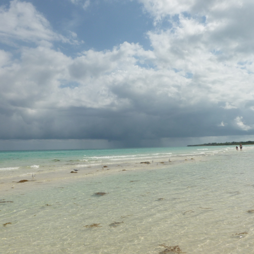 Зимний отдых на курорте Кайо Коко, Куба