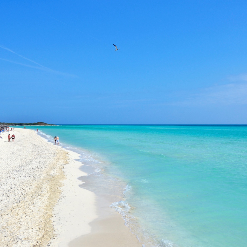 Зимний отдых на пляже на курорте Кайо Гильермо, Куба