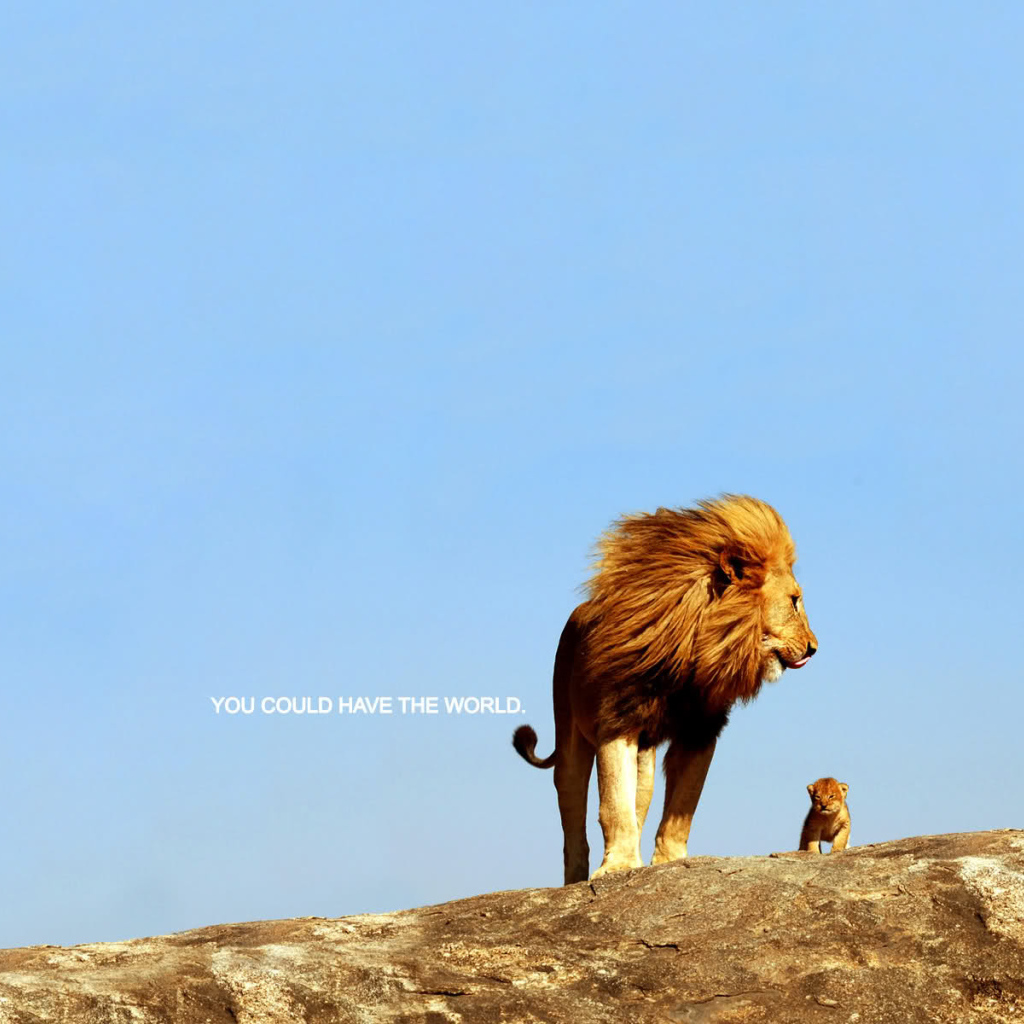 Ты можешь покорить весь мир