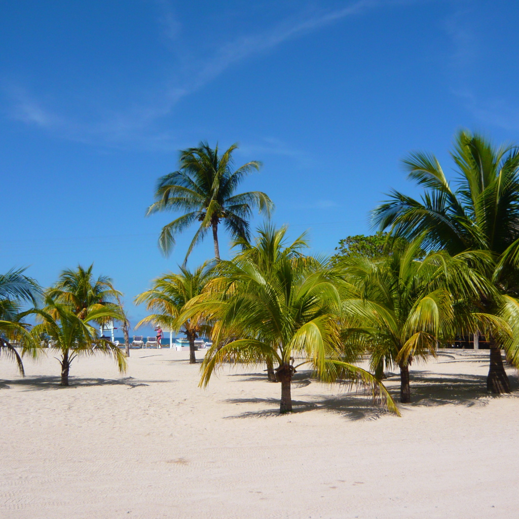 Замечательное место в Гаити