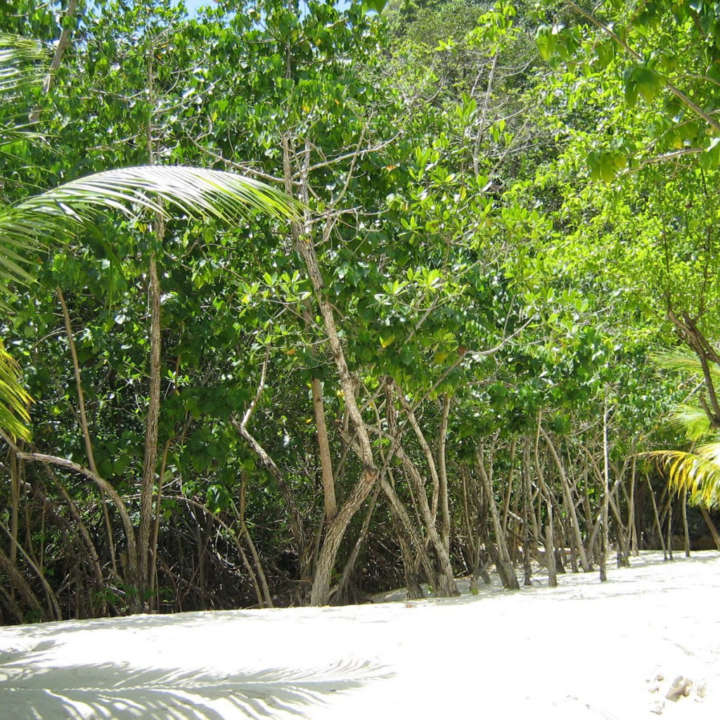 Захватывающие дух место в Гаити