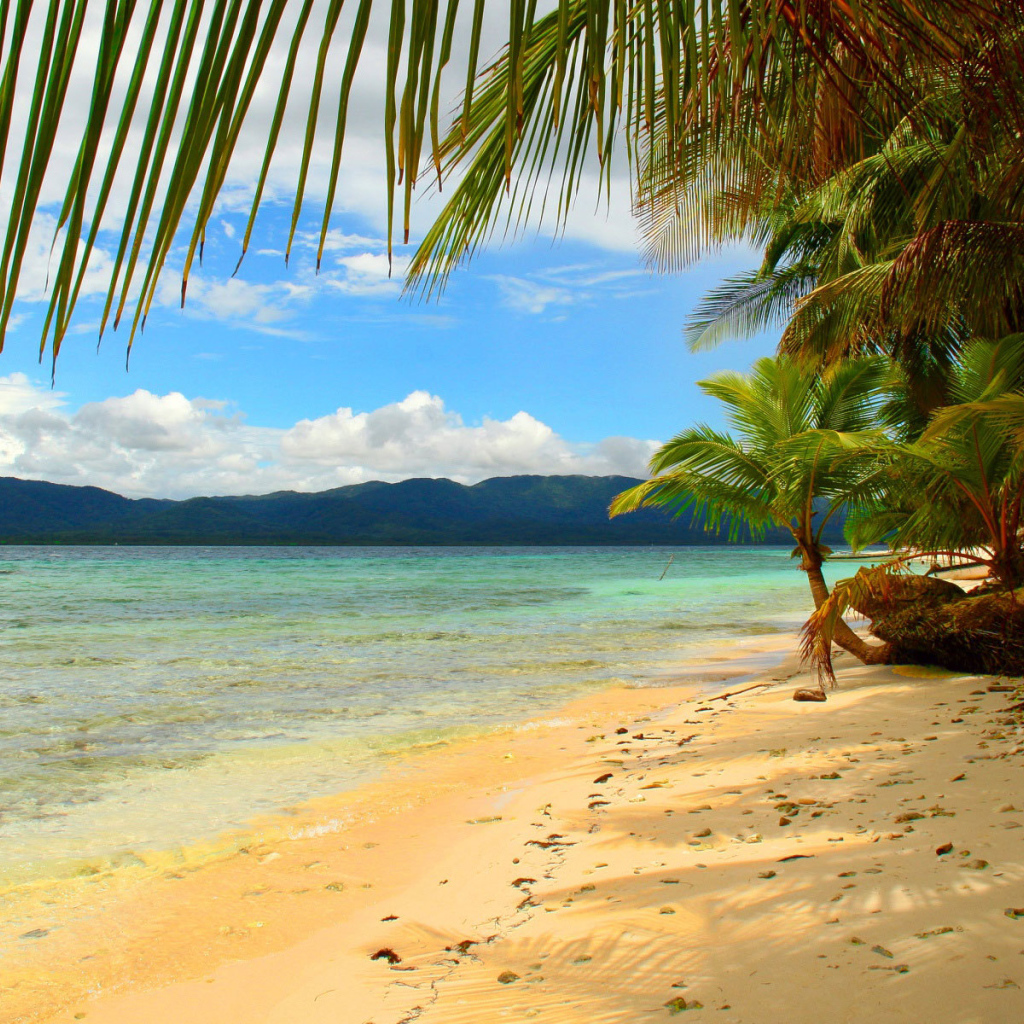 Эффектное Панама