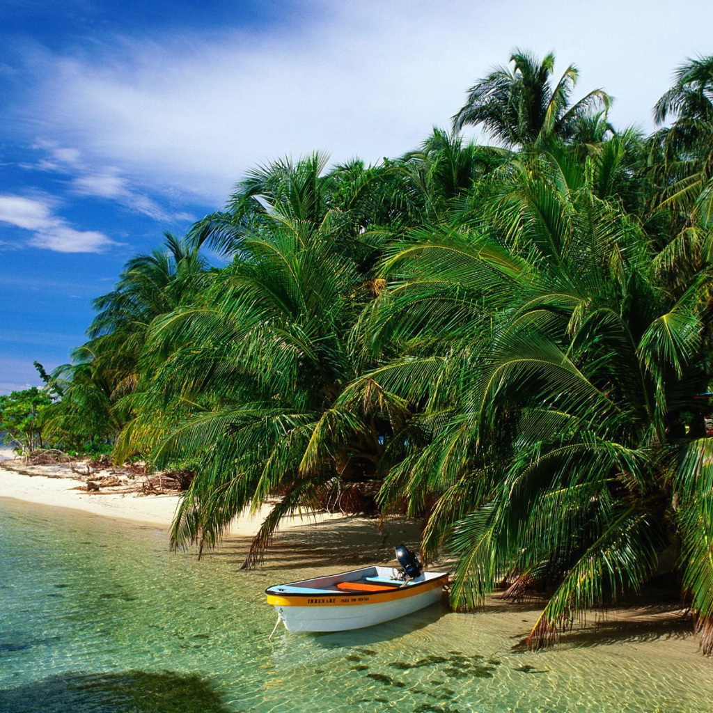 Привлекательное Панама