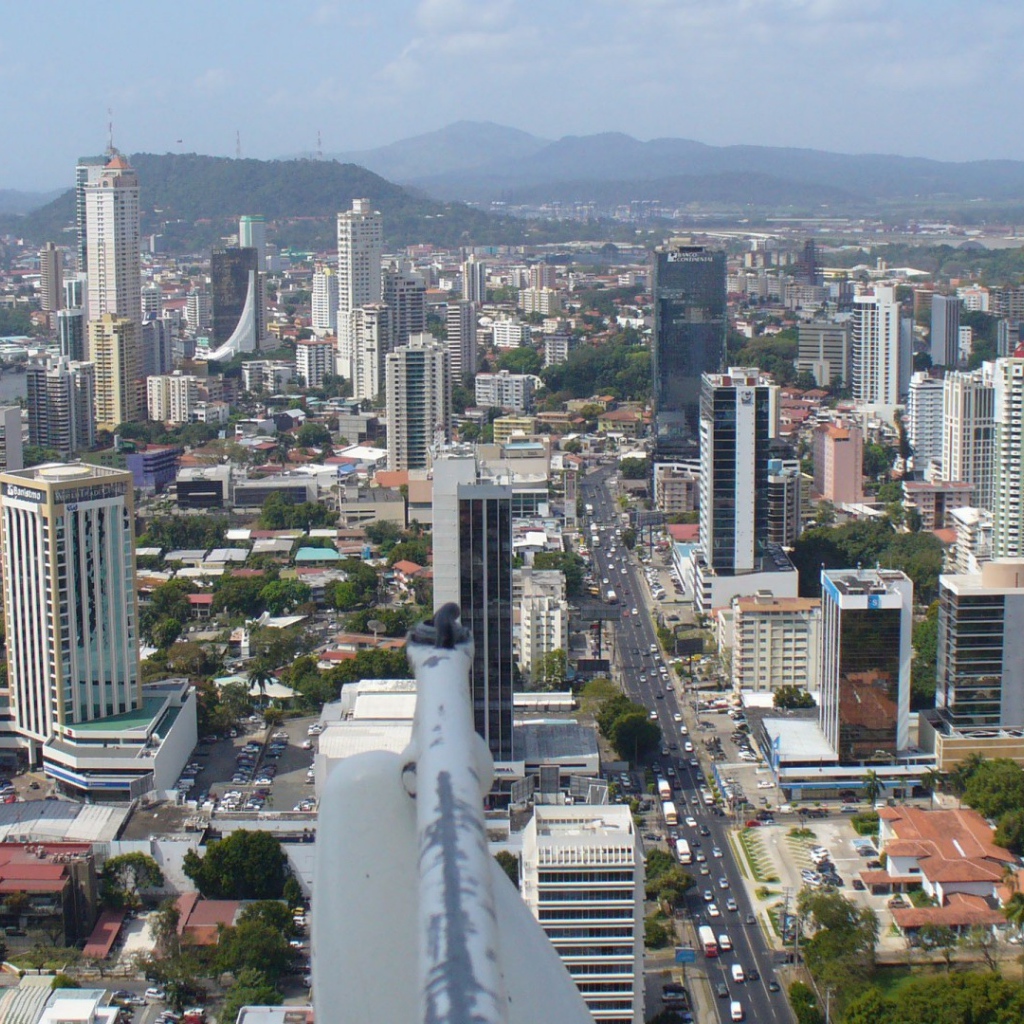 Элегантное Панама