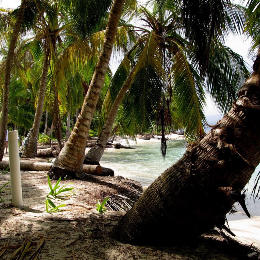 Замечательная страна Панама