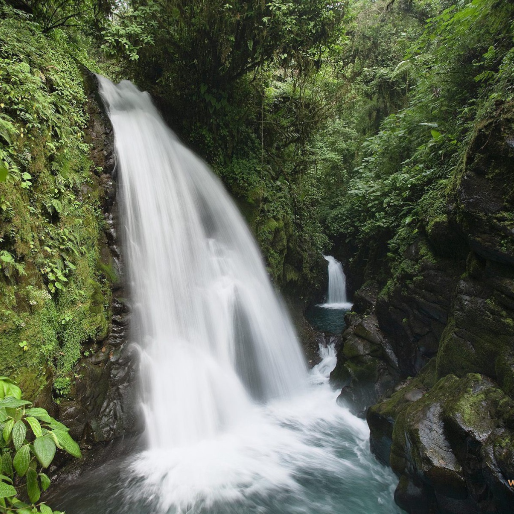 Красивое Коста-Рика