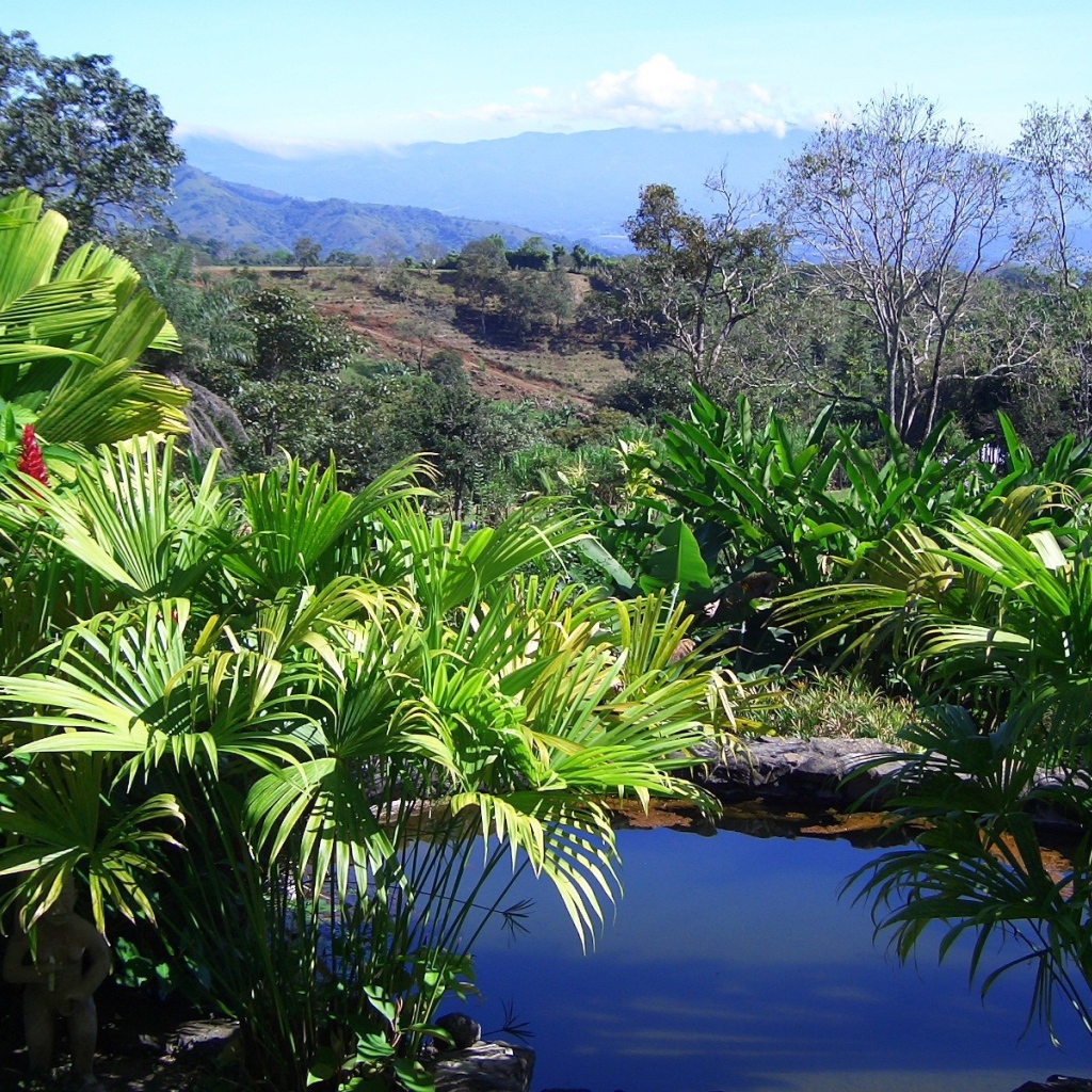 Привлекательное Коста-Рика