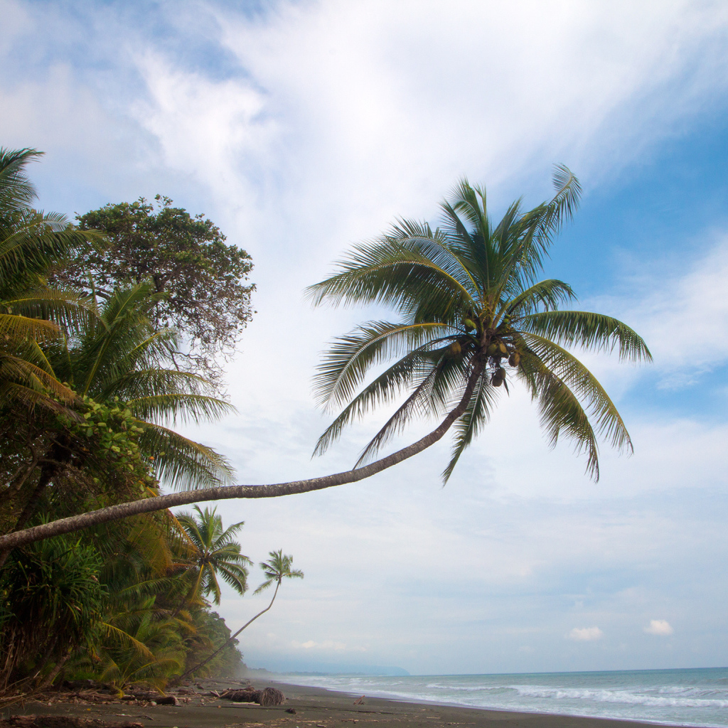 Великое Коста-Рика