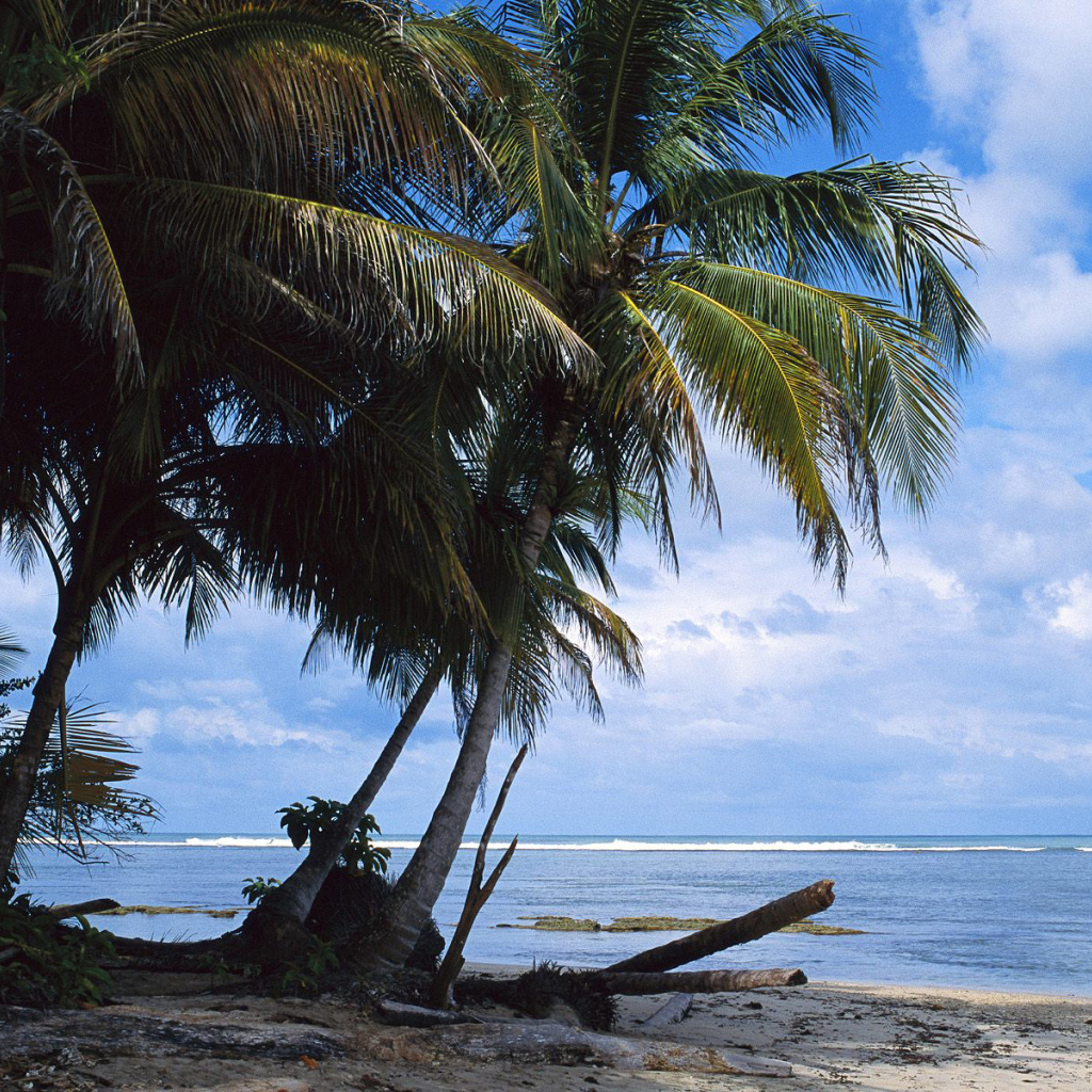 Невероятная страна Коста-Рика