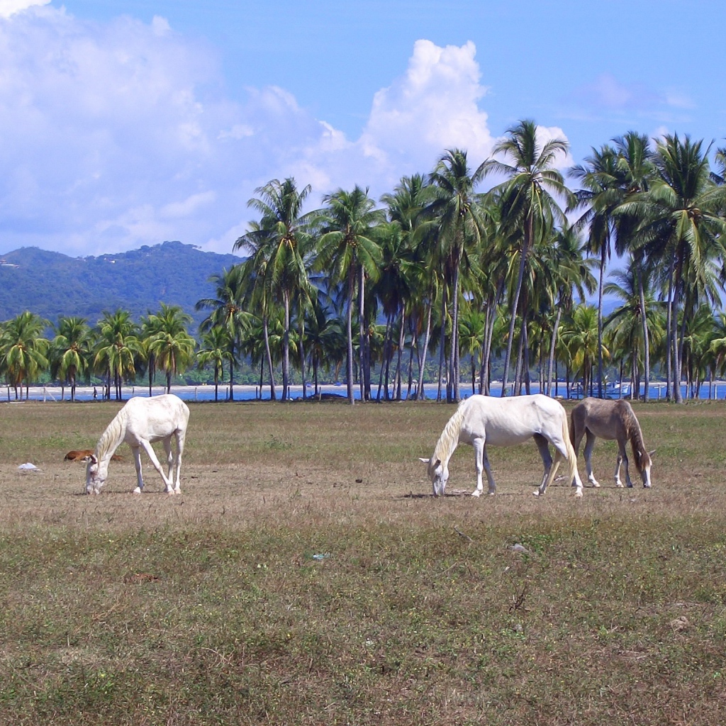 Популярное место в Коста-Рика