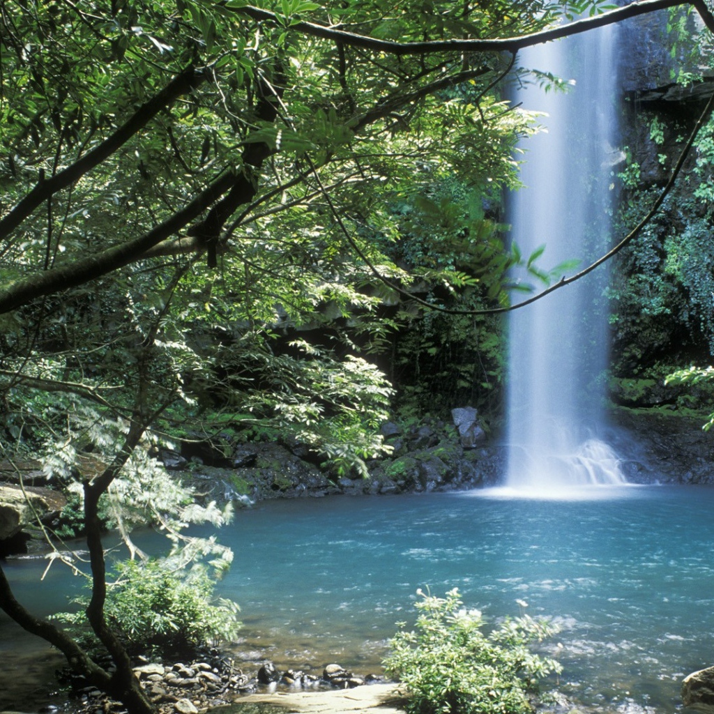 Невероятное место в Коста-Рика 