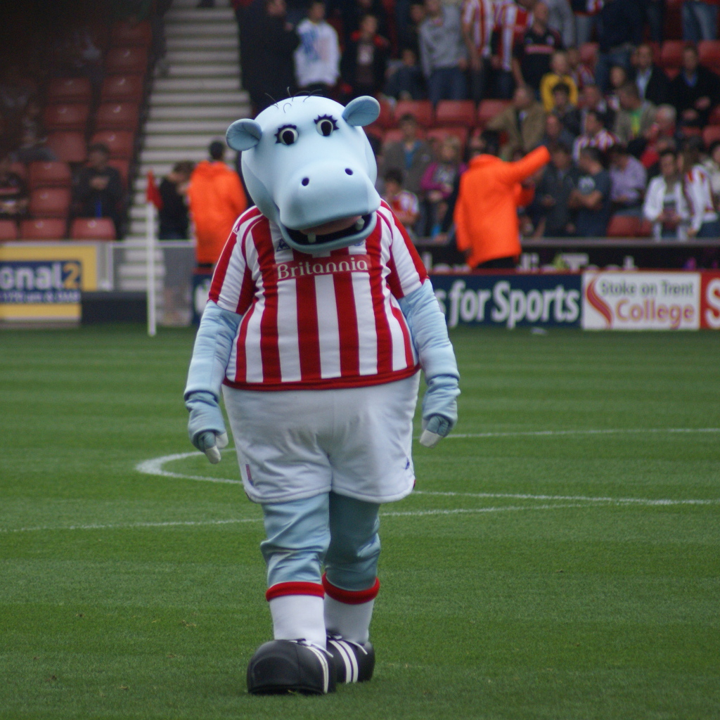 Известный ФК Сток Сити