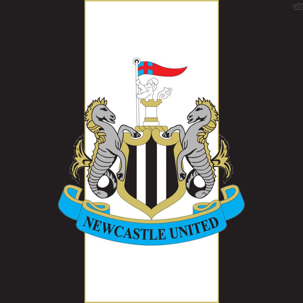 Известный футбольный клуб Англии Ньюкасл Юнайтед