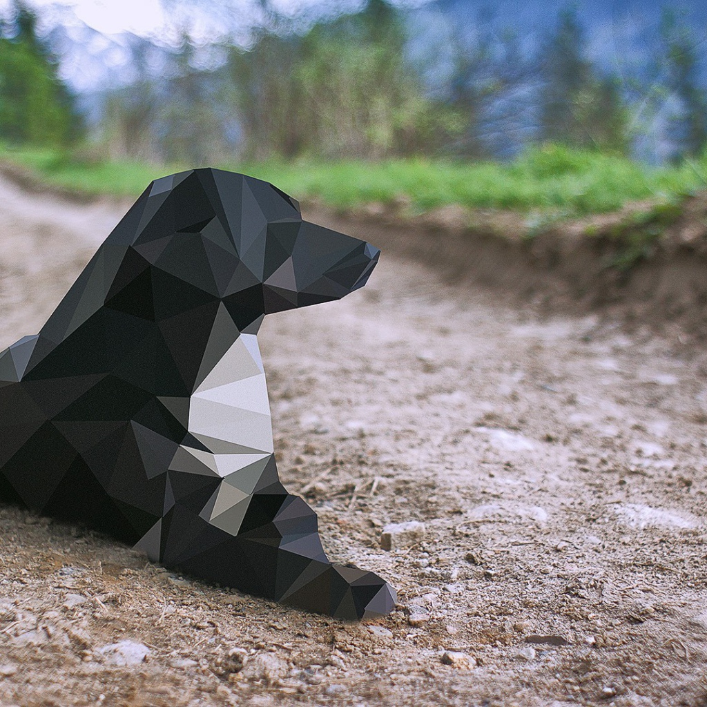 Кубическая черная собака