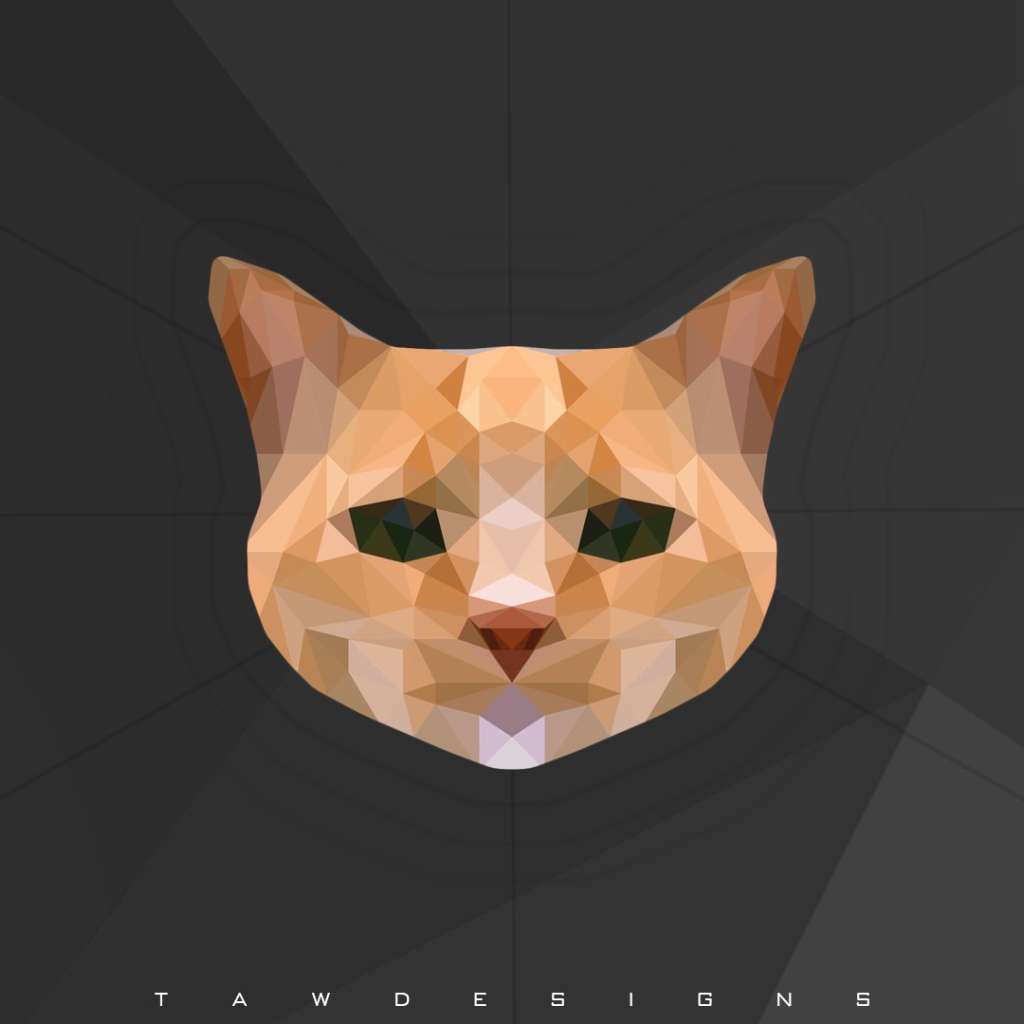 Морда кота, 3-Д графика