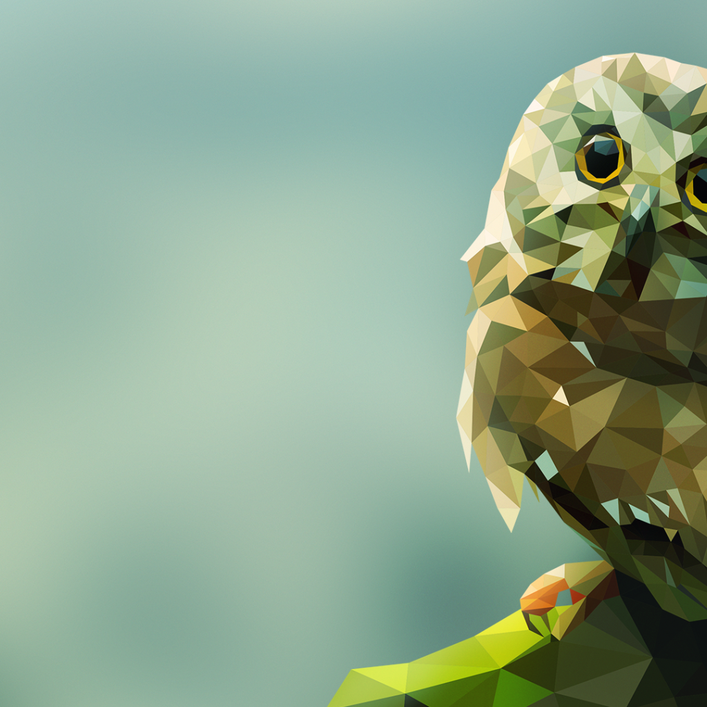 Сова на камне, 3Д графика