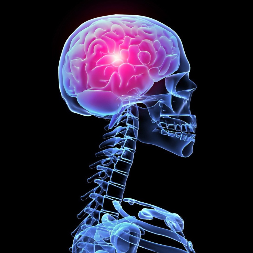 Рентгеновский снимок тела человека