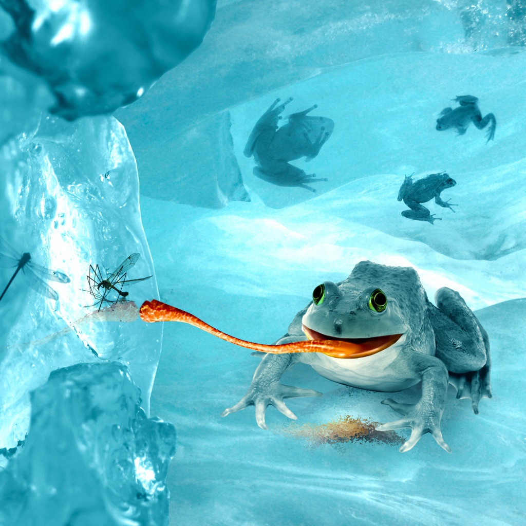 Лягушка среди льдов