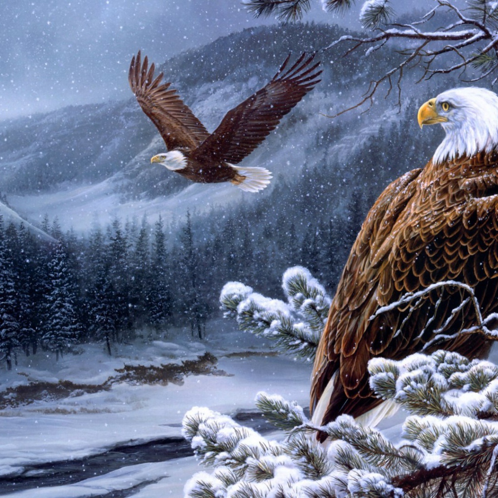 Белоголовые орланы в горах