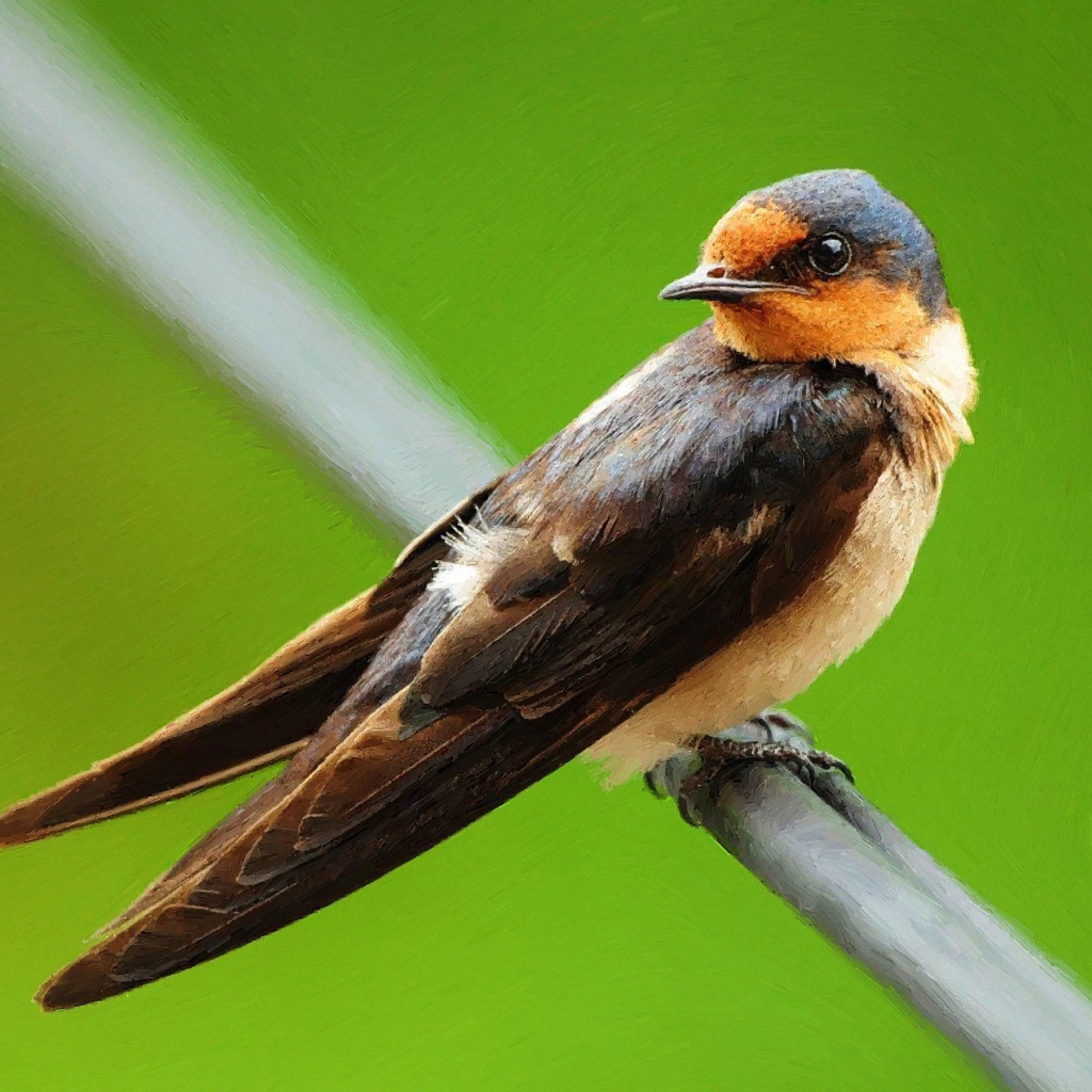 Птица на зеленом фоне